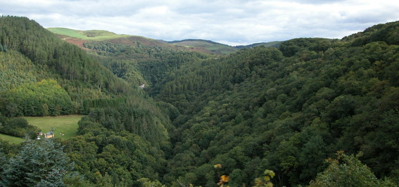 Trees