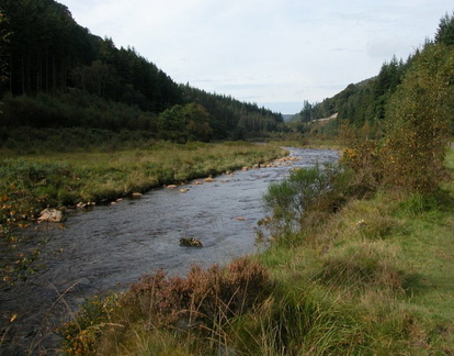 River in valley