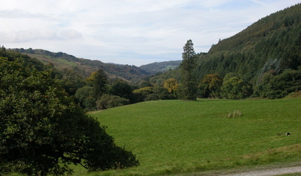 Field