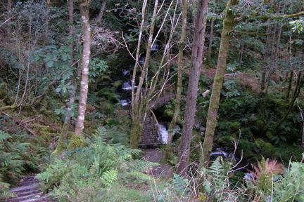 Down to bridge