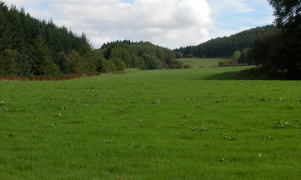 Field