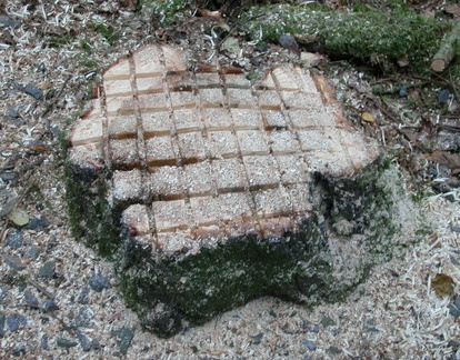 Stump