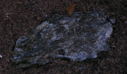 Dragon head