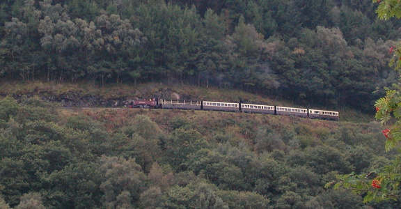 Train