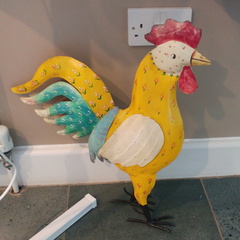 Chicken