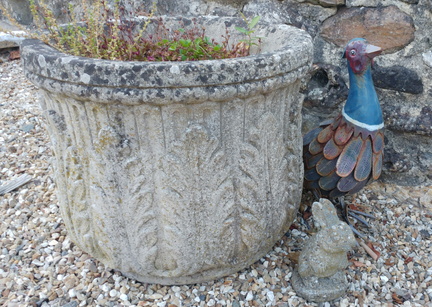 Pheasant and rabbit