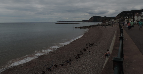 Along the coast