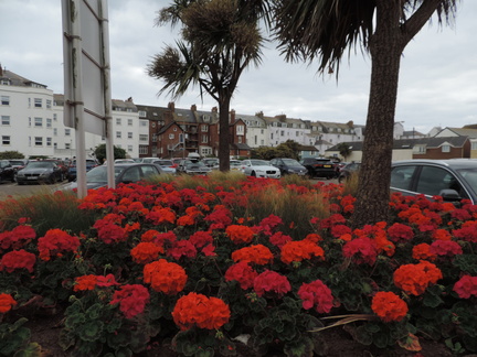Flower bed