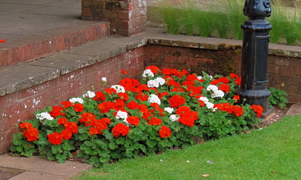 Flower bed