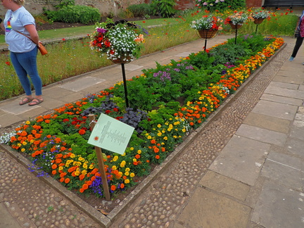 Flower bed