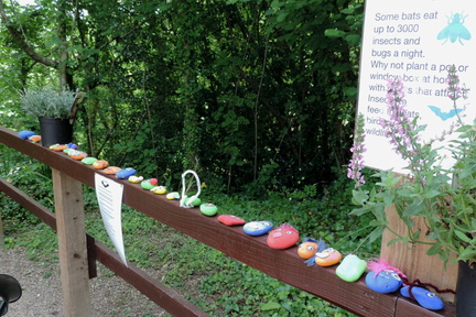 Painted stones