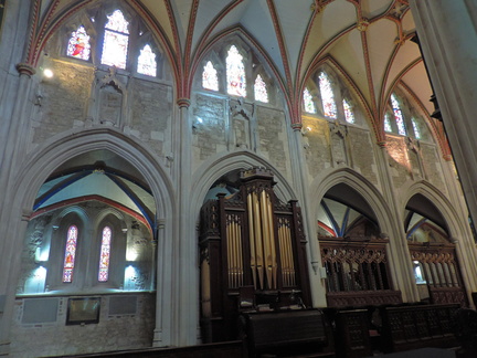 Organ