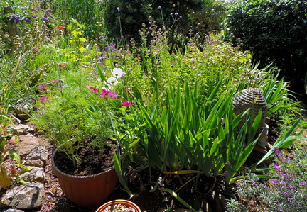 Bee garden