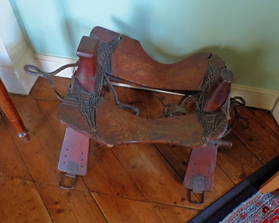 Camel saddle