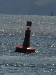 Buoy