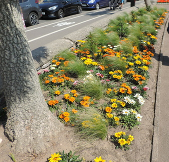 Flower bed