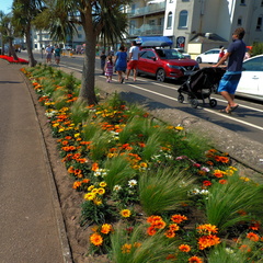 Flower bed