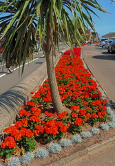 Flower bed