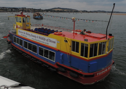 Tudor Rose