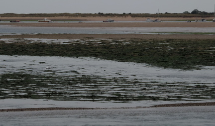 Sand banks