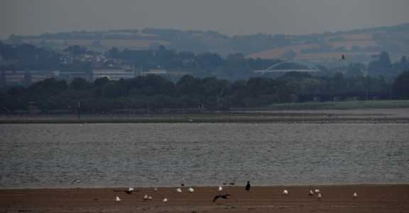 View inland
