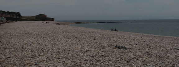 Along the beach