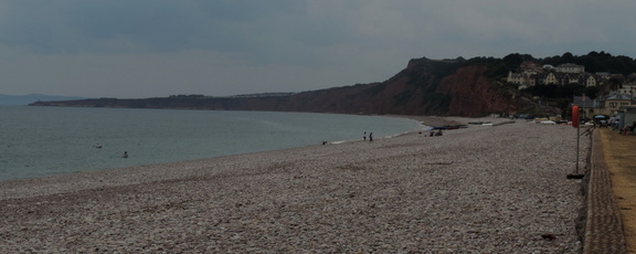 Along the beach