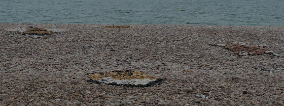 Pebble art