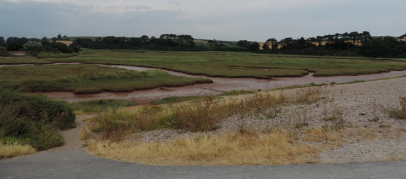 Mud flats