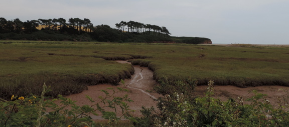 Mud flats