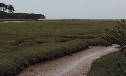 Mud flats