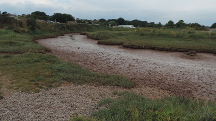 Stream