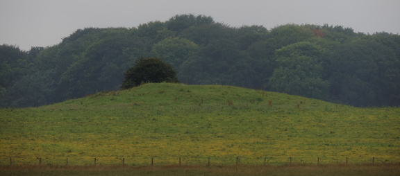 Mound