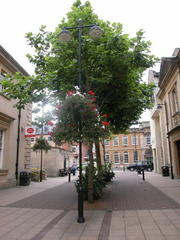 Street