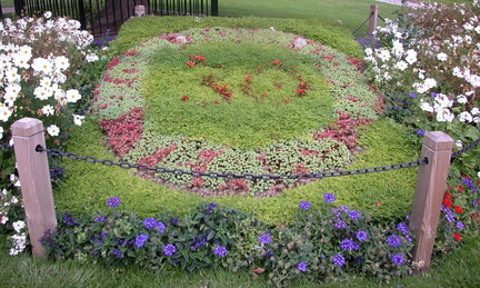 Flower Bed