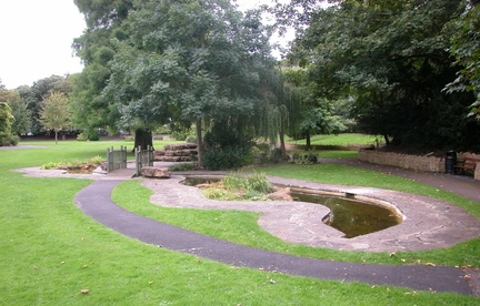 Pond