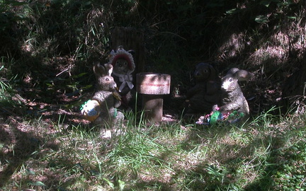 Rabbits