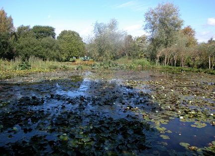 Lake
