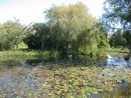 Lake