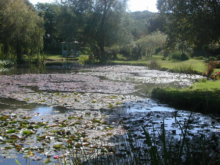 Lake and gazebo