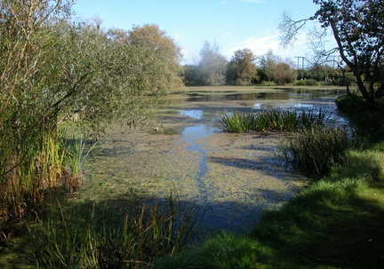 Lake