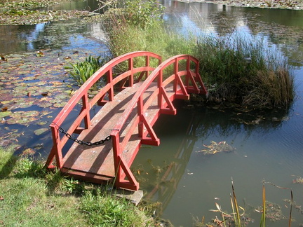 Bridge