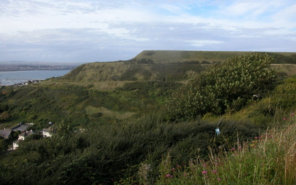 Hillside