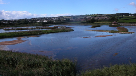 Marshes