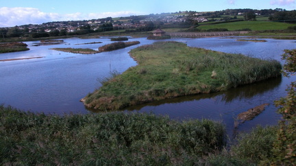 Marshes