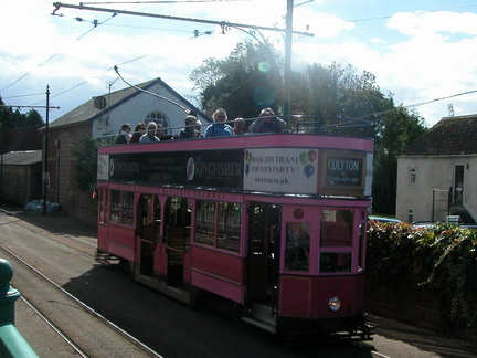 Pink tram