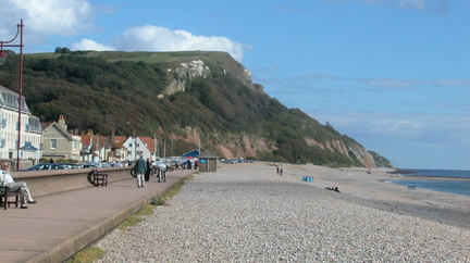 Along the beach