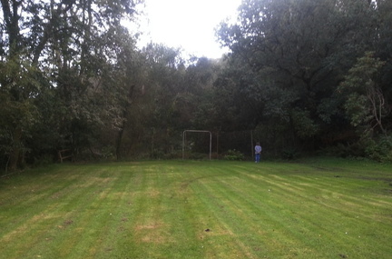 Field