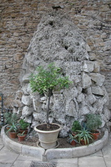 Plants