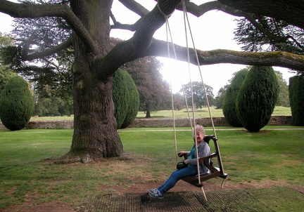 Swing